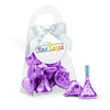 Personalized Add Your Logo Favor Purse with Hershey's Kisses and Bow with Gift Tag