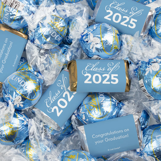 Light Blue Graduation Chocolate Mix - Hershey's Miniatures and Lindor Truffles - 65 Pieces