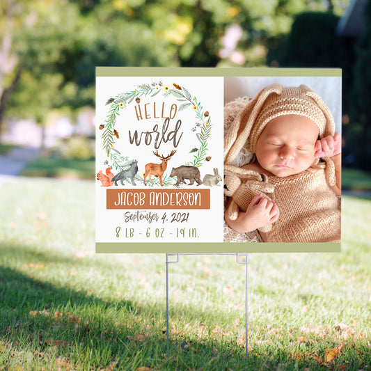 Personalized Hello World Baby Shower Yard Sign and Stake