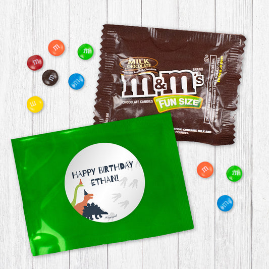 Personalized Kids Birthday Dinosaurs Candy Favor Bag - M&Ms or Skittles