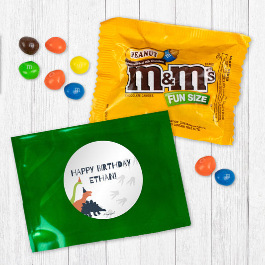 Personalized Kids Birthday Dinosaurs Peanut M&Ms Favor Bag