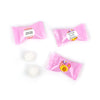 Personalized Family Reunion Picnic Buttermints - 110 ct