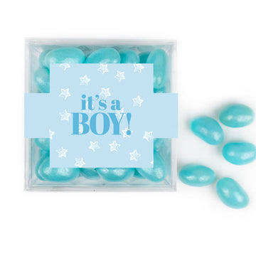 It's A Boy! JUST CANDY favor cube with Jelly Beans