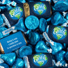 Earth Day Hershey's Chocolate Candy Mix - Miniatures and Kisses