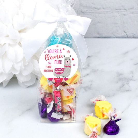 Personalized Valentine's Day Llama Fun Goodie Bag