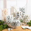 White Bulk Candy Buffet
