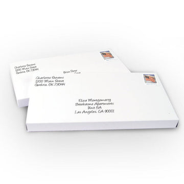 Candy Bar Mailer XL Box